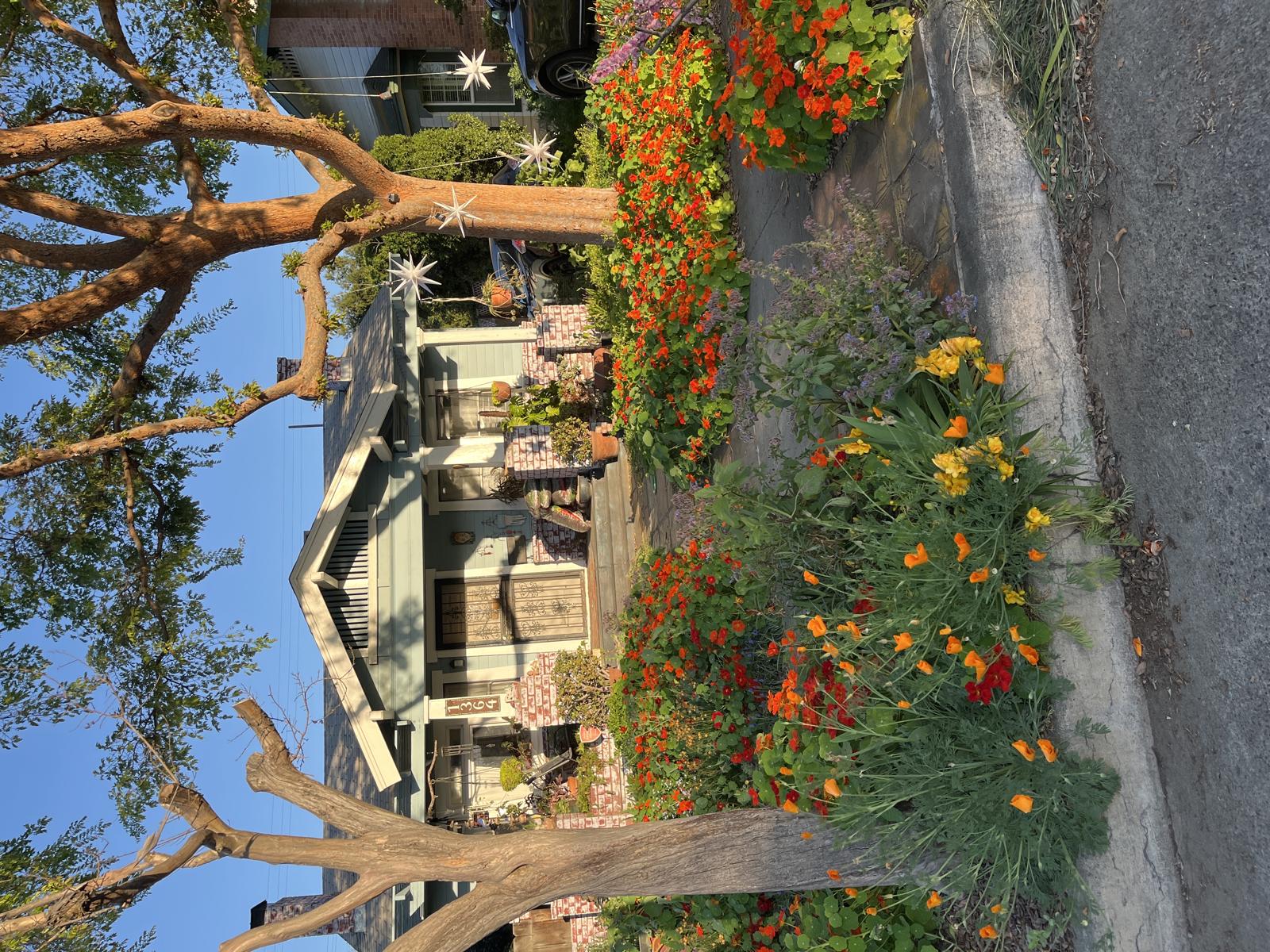Porch Picture